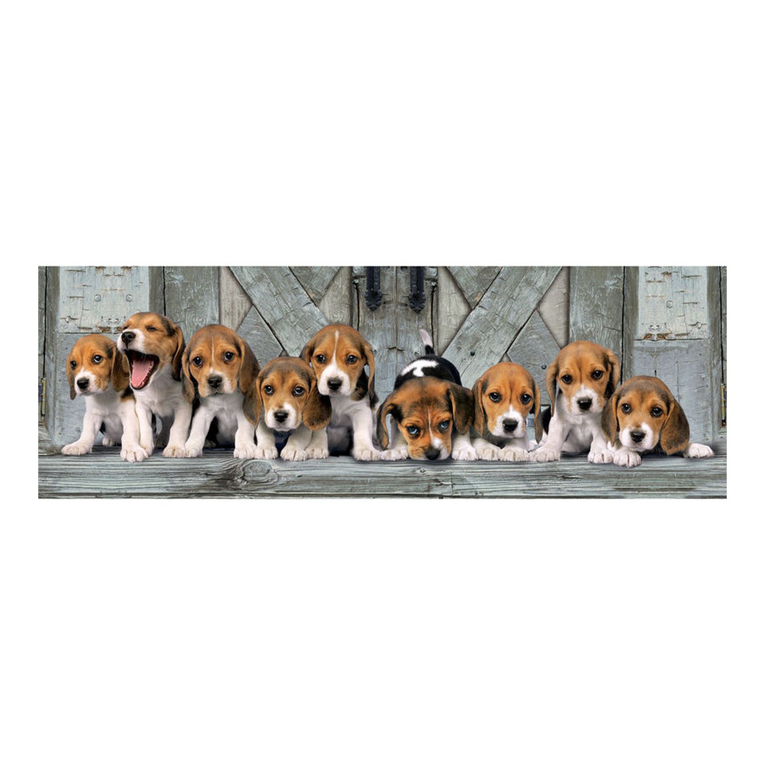 Puzzle Panorama Beagles 1000pzs