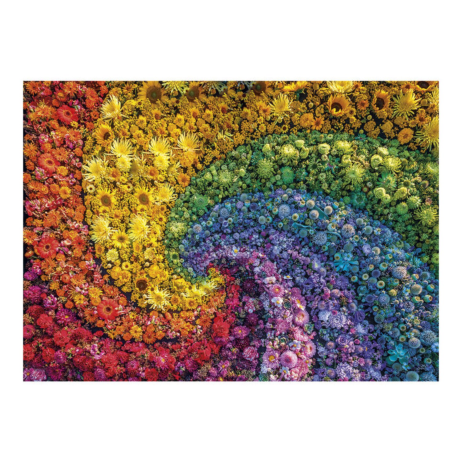 Puzzle Espiral 1000pzs