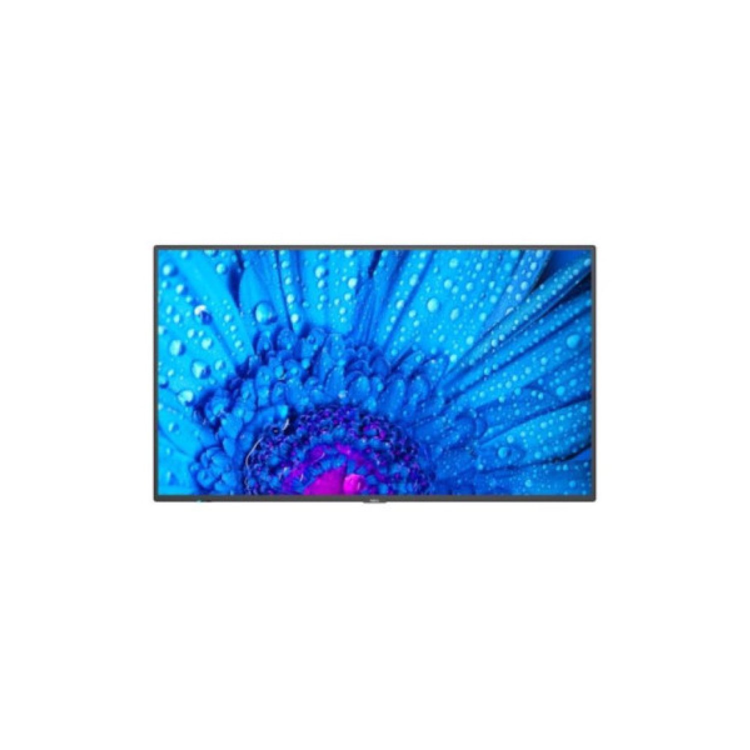 Sharp Display LFD 98" · Serie M · UHD · 500 cd/m² · Direct LED · 24/7 · USB-C SDM