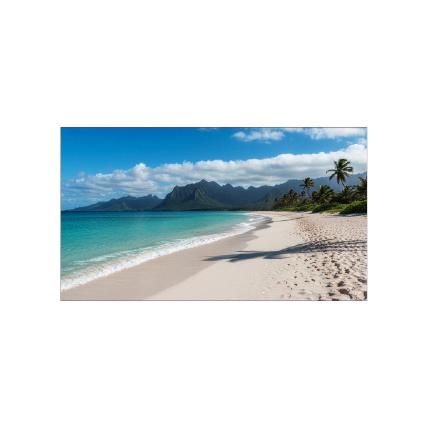 Sharp PN-UN553V · Pantalla LCD Interior · 55" · Full HD · Professional