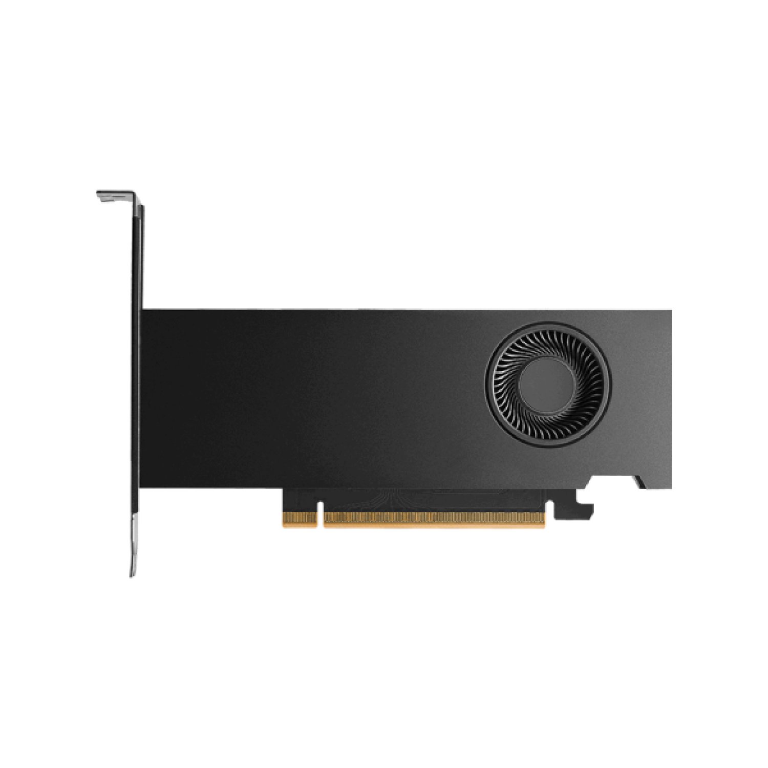 PNY RTX Pro 2000 Blackwell · 16GB GDDR7 · Renderizado Profesional