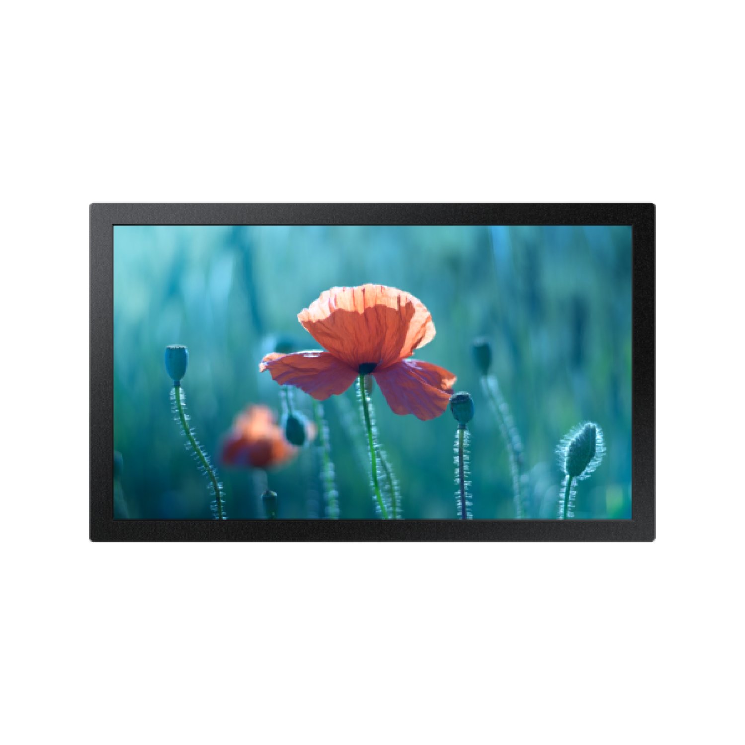 Samsung QB13C · 13" · Full HD · 500 cd/m² · WiFi · 16/7