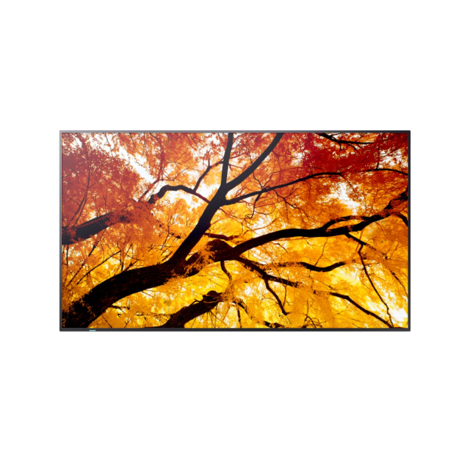Sharp MultiSync M322 · 32" LCD · 550 cd/m² · Full HD · Señalización Digital
