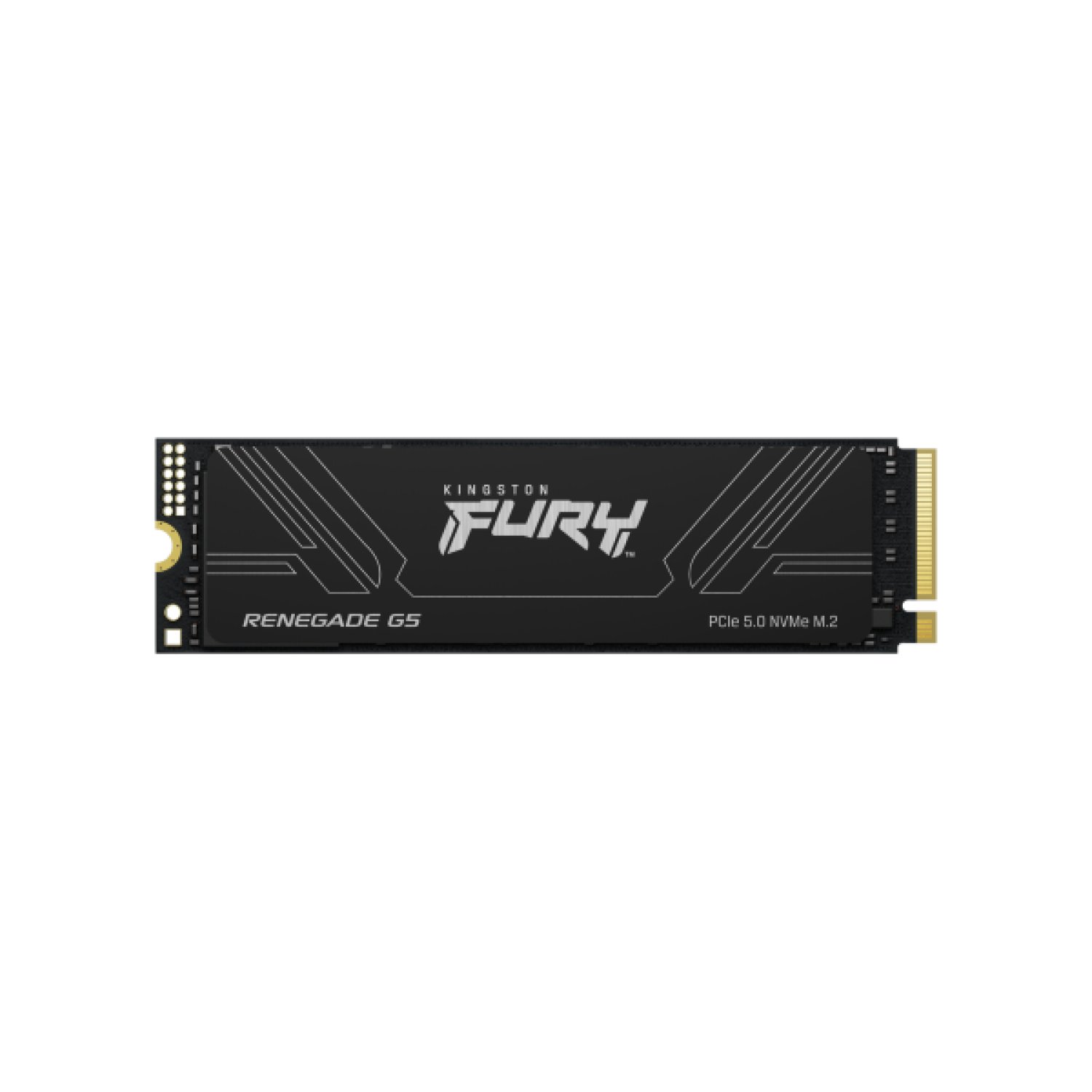 Kingston Fury Renegade G5 · 4096GB · PCIe 5.0 · M.2 NVMe SSD