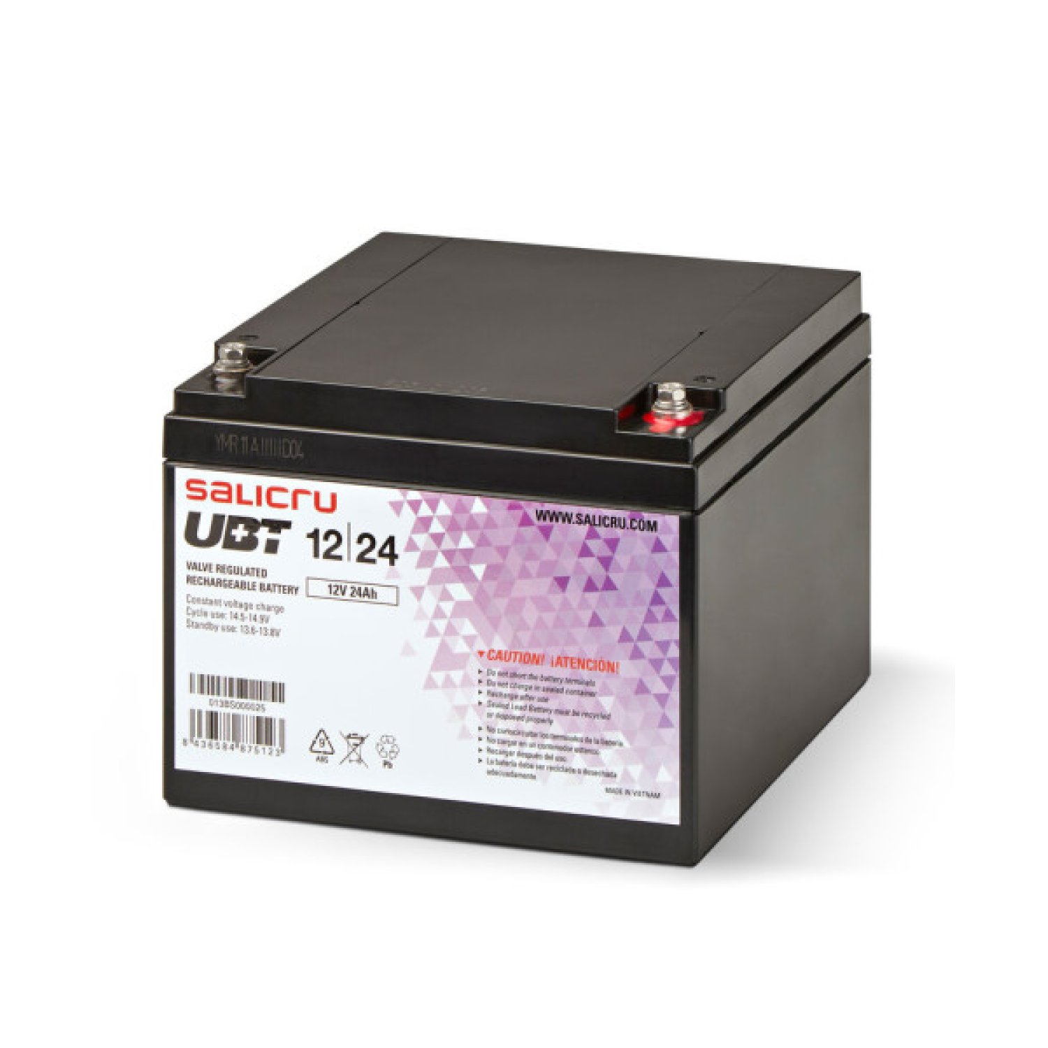 Salicru Batería UPS AGM · 24Ah · 12V · Recargable