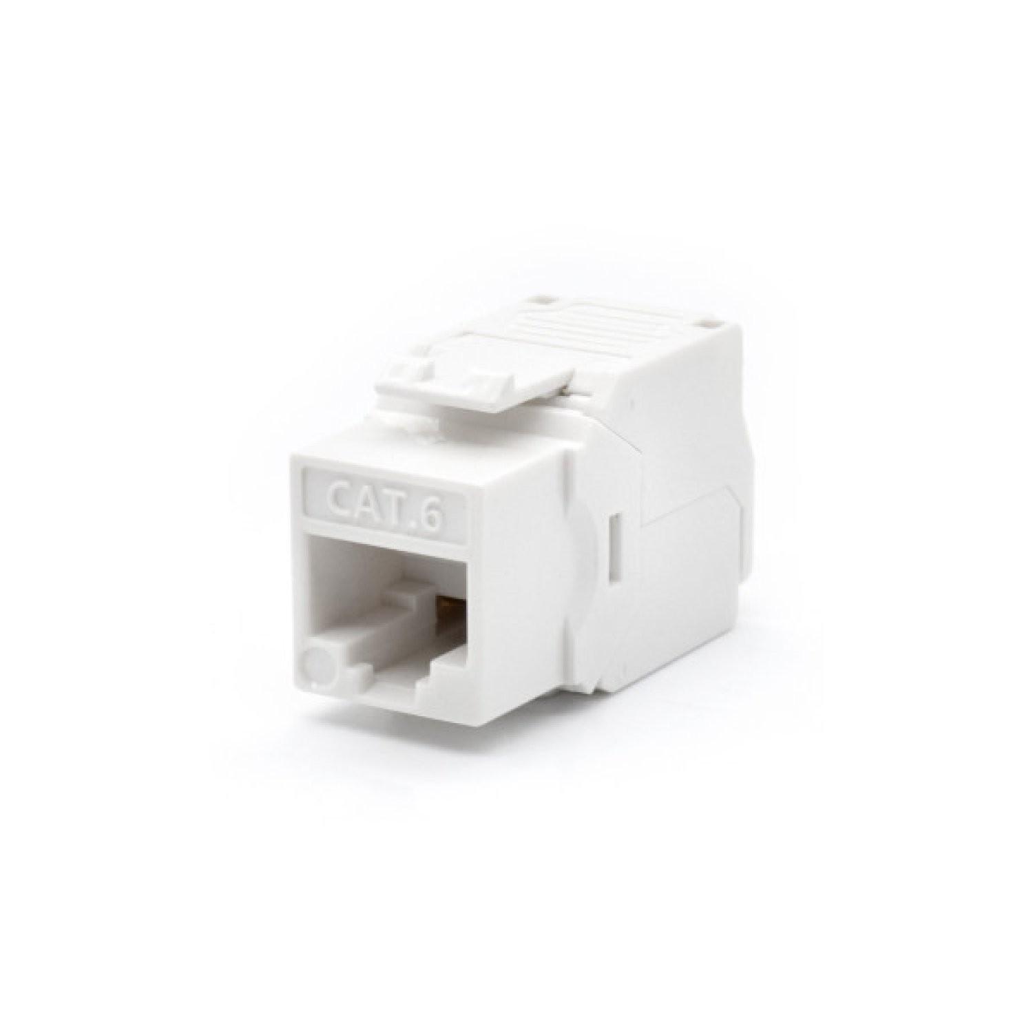 WP · Conector RJ45 · 6 Posiciones · Blanco