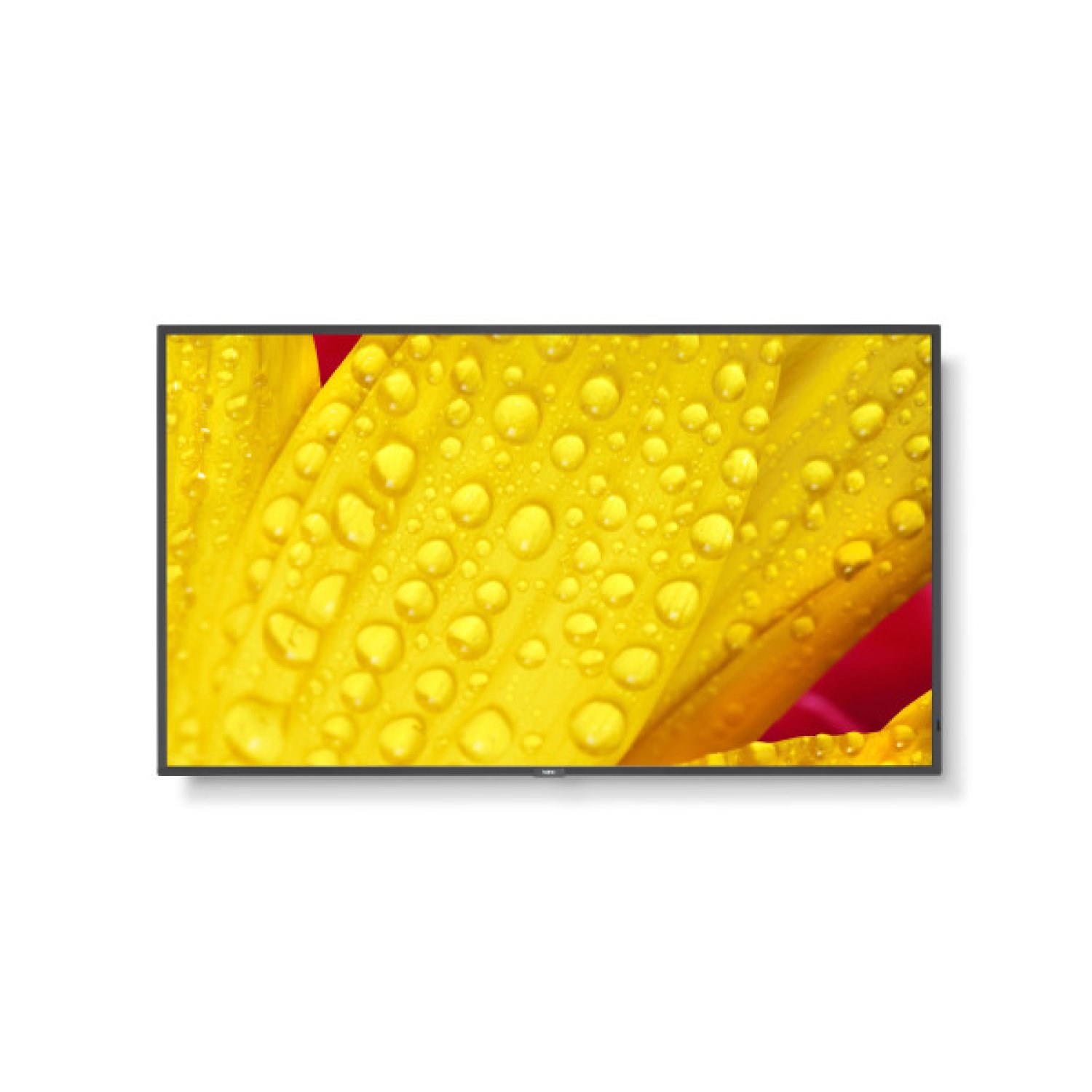 Sharp MultiSync M551-2 · 50" 4K LED · Quiosco · Procesador incorporado