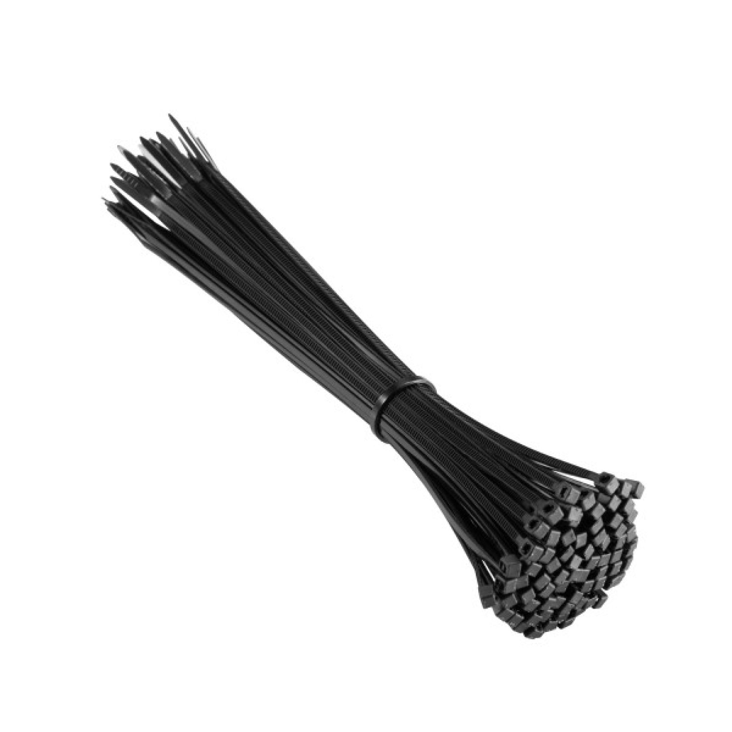 Ewent EW1564 · Bridas Nylon · 100 Piezas · Negro