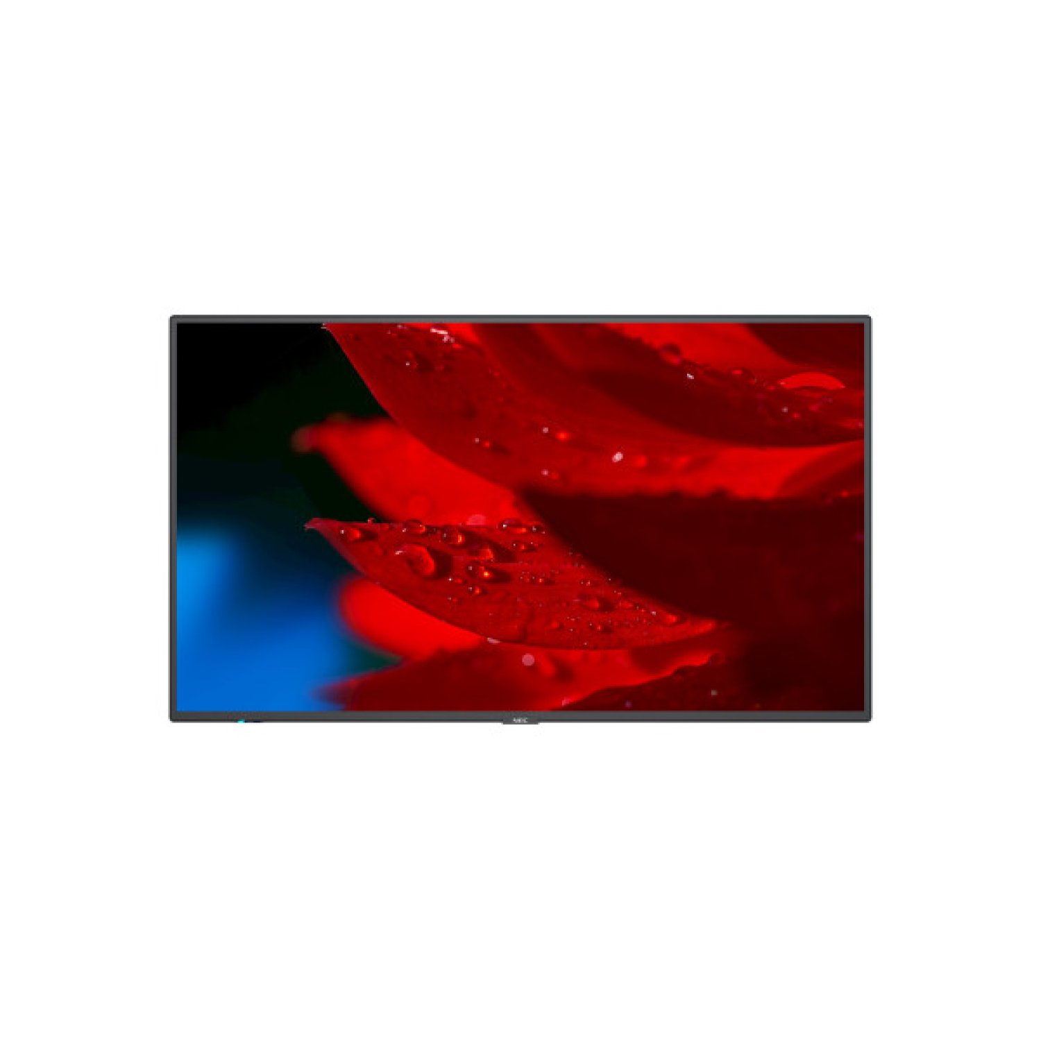 NEC MultiSync MA551 · Pantalla Digital 55" · IPS 4K Ultra HD · 500 cd/m² · 24/7