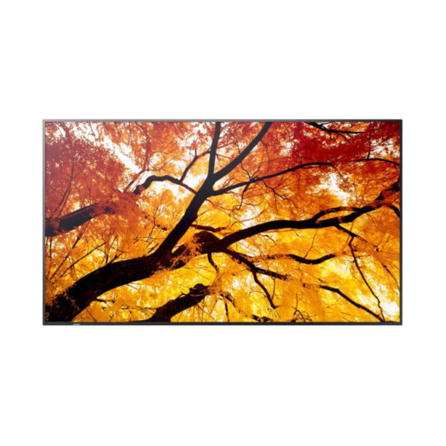 Sharp MultiSync M752 · 74,5" · 4K Ultra HD · 550 cd/m² · LED · 24/7