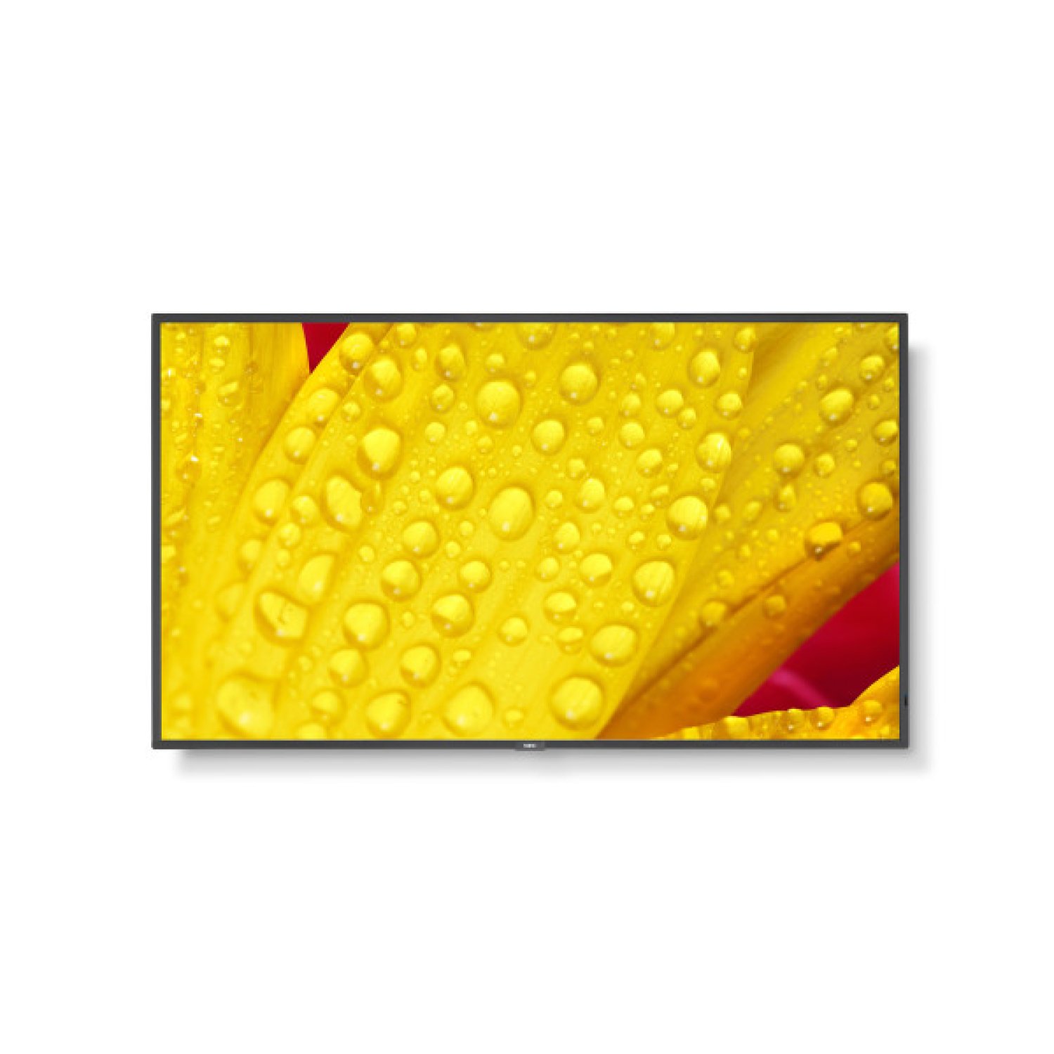 NEC MultiSync ME551 · Pantalla 55" · 4K Ultra HD · IPS · 400 cd/m² · 24/7
