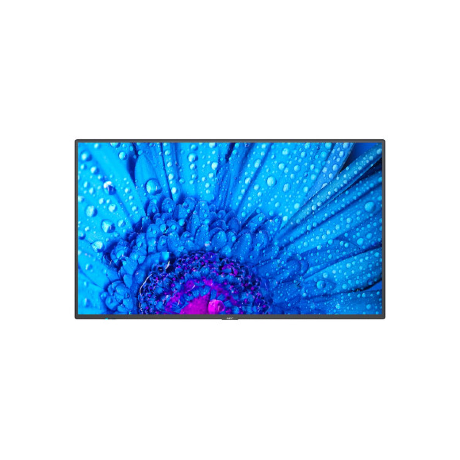 Sharp MultiSync M551 · 55" · 4K Ultra HD · 500 cd/m² · Señalización Digital 24/7