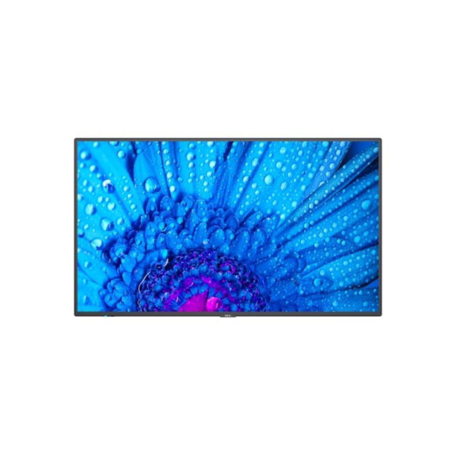 SHARP MultiSync M431 · Monitor 43" USB-C · 500 cd/m² · Procesador incorporado · 24/7