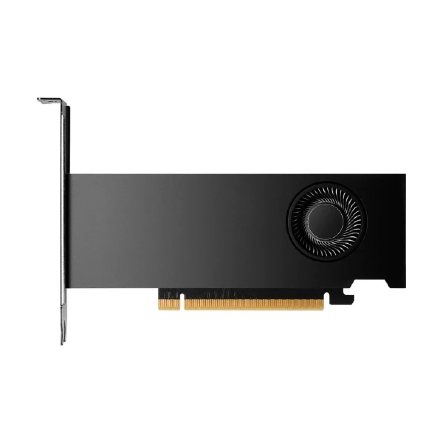 PNY RTX 2000 Ada · Tarjeta Gráfica Profesional · 16GB GDDR6 · 2816 CUDA Cores · 4xDP 1.4
